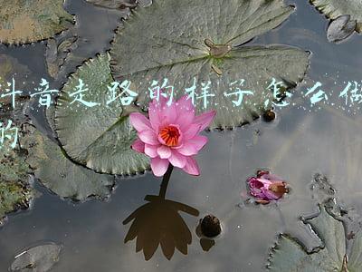 抖音走路的样子怎么做的