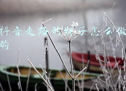大白鹅走路的样子视频(大白鹅主动迎接男主人回家，还会撒娇要亲亲，网友：投错胎了)