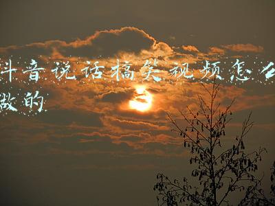 鹦鹉说话搞笑视频(搞笑的鹦鹉)