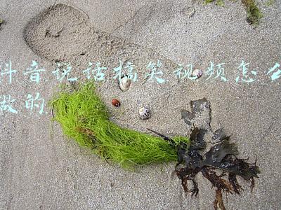 会说话的鸭子玩具搞笑(ICU病人无法开口说话，一只玩具鸭子起了大作用)