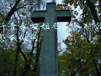 抖音李大姐毛线人特效怎么做的