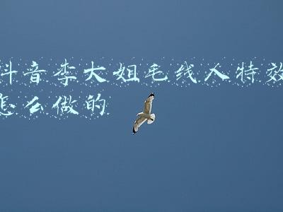 抖音李大姐毛线人特效怎么做的