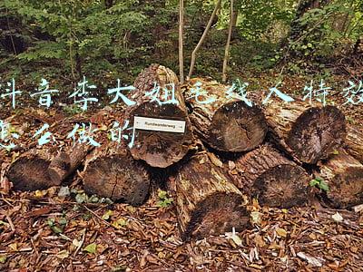 抖音李大姐毛线人特效怎么做的