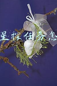 抖音星探官是什么(3万包出道、5万拍电影？揭秘“演艺练习生”招募乱象)