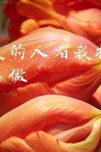 怎么能看到别人的抖音喜欢(小红书为何存在认知夹角？)