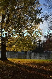 抖音怎么做积分