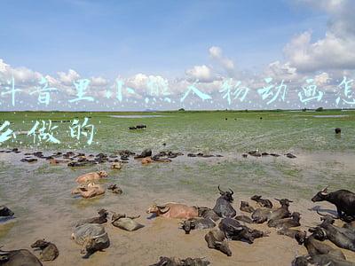 抖音里小熊人物动画怎么做的