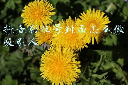 抖音影视号封面怎么做吸引人