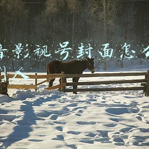抖音影视号封面怎么做吸引人