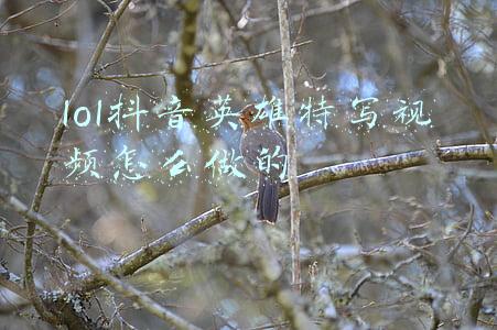 lol英雄视频(lol手游：景雨墨教学视频火了，干货满满，网友：学会了能上大分)