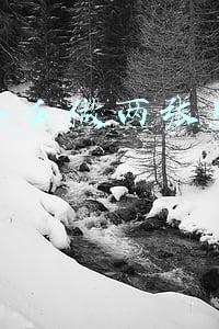 年会照片合集视屏(林志玲—海伦凯勒年会图片合集)