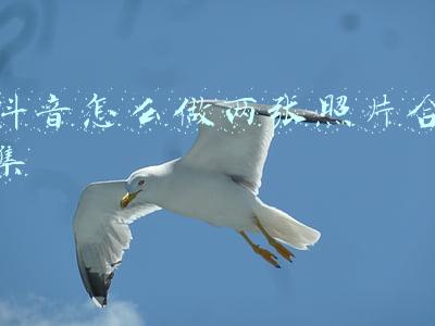 抖音帅哥照片合集(抖音前十名帅哥有哪些？盘点2019抖音最帅的男生top10)