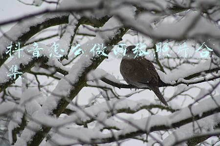 剪映怎么做照片合集(重磅上线！剪映“图文成片”功能初体验，终于可以搞视频原创了？)