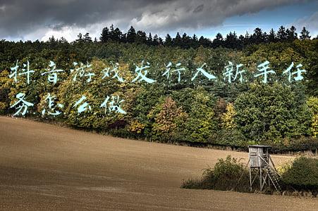 区块链游戏怎么发行(区块链游戏初学者基础——公链)