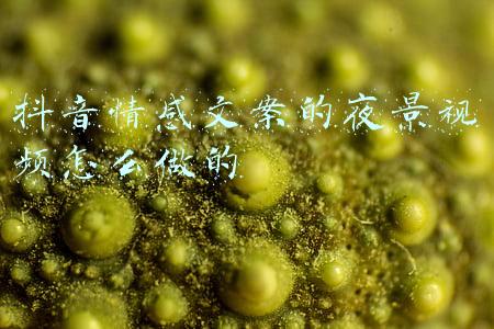 抖音情感文案的夜景视频怎么做的