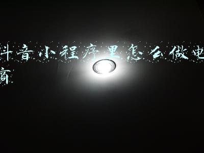 抖音小程序里怎么做电商