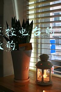 抖音声控文案(推荐五本网配声控文)