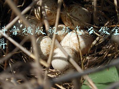 抖音横版视频怎么做全屏