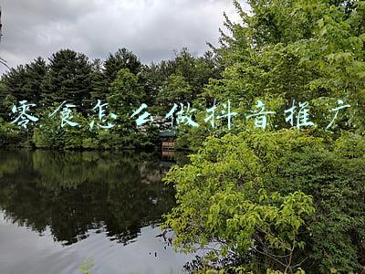 零食怎么做抖音推广