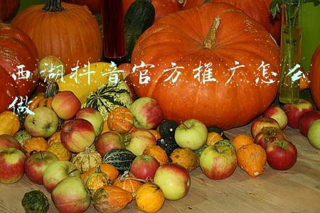 西湖龙井官方旗舰店(实用帖！如何购买正宗“西湖龙井”？看这里~)