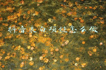 抖音星愿项链多少钱(新年星愿，所有人都想要TA)