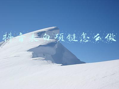 抖音网红闺蜜项链(郭晶晶参加豪门派对，罕穿深V戴名贵首饰，却被网红脸闺蜜抢风头)