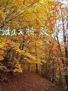 抖音dax特效怎么做的