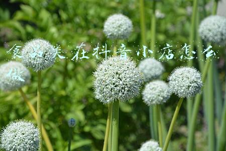 丰果食品小店(抽噎着配合治疗的女孩长大了！钱报和大家一起救回来的恩恩过得很好)