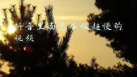 抖音里面怎么做超慢的视频