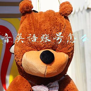 英文抖音号名字大全(2020最火英文名Top100排名出炉！另Top10勿踩雷)