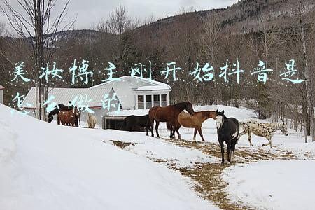 抖音美妆博主有哪些(抖音美妆前十的达人有哪些？抖音下一个“李佳琦”在哪？)