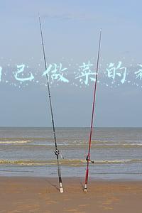 抖音自己做菜的视频怎么做