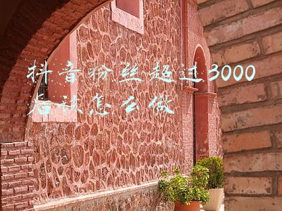 抖音粉丝超过1000(谷爱凌夺金！3天抖音粉丝突破1000万成世界顶流：视频播放超40亿)