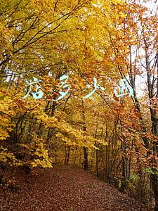 电多少一度多少钱：电多少一度