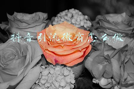 微商怎么引流呢(微商引流方法：微商怎么引流不让人反感？)