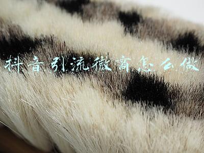 抖音微商引流(微商精准引流抖音引流（3）)
