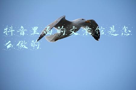 抖音文案馆简介怎么写(抖音爆款文案在哪找，收藏这5个文案素材网，轻松上热门)