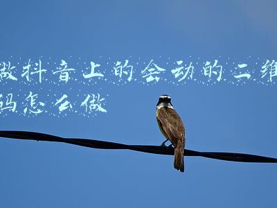 溯源二维码怎么做(一张二维码“扫”出舌尖上的安全！这么好用的农产品溯源系统，你知道吗？)