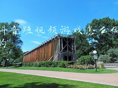 抖音短视频网页版入口(抖音电脑网页版正式上线：支持点赞、看评论、发视频)