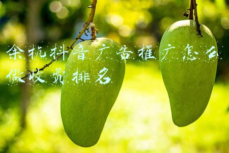 抖音平台投放广告多少钱(在抖音上面投放广告费用多少钱？广告投放方式和计费方式有哪些？)