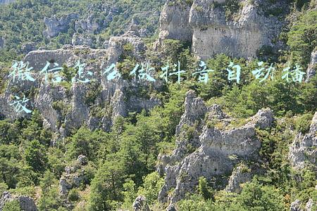 如何自动播放抖音(苹果与抖音“联手”，这样刷短视频的方式，你见过吗？｜欧界)