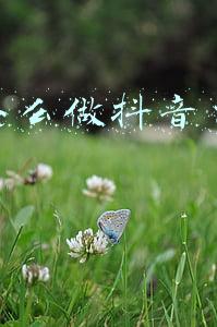 微信怎么做抖音自动播放