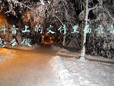 抖音上的文件里面录音怎么做