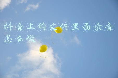 抖音上的文件里面录音怎么做