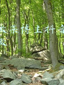 自己做美食怎么拍抖音(如何做好一个“美食”型抖音账号（上）)