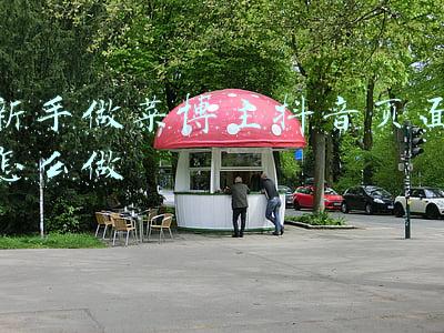 抖音做菜博主(抖音美食赛道有何魔力？为何这几个博主能短期内实现千万涨粉？)