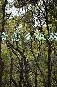 抖音代运营怎么做的(抖音短视频代运营流程是什么？)