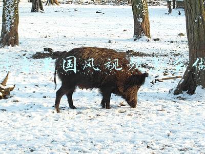 舞蹈国风视频(国风盛行，古典汉唐舞《玉人》，与水袖的结合太美了)