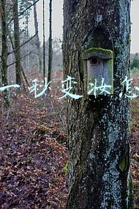 抖音一秒变妆怎么做