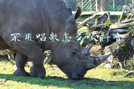 怎么唱歌不用嗓子发音(怎么样锻炼唱歌不用嗓子，还能快速找到共鸣发声点)